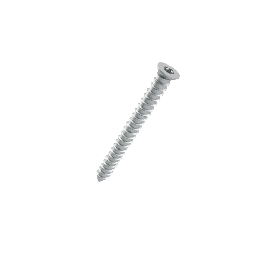 OMO concrete screw
